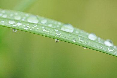 《王者荣耀》不知火舞新皮肤绯月行 一头飘逸红发